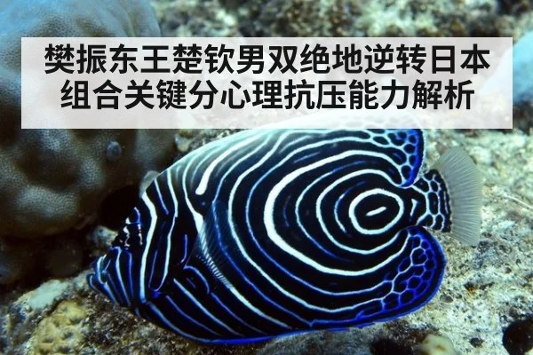 樊振东王楚钦男双绝地逆转日本组合关键分心理抗压能力解析