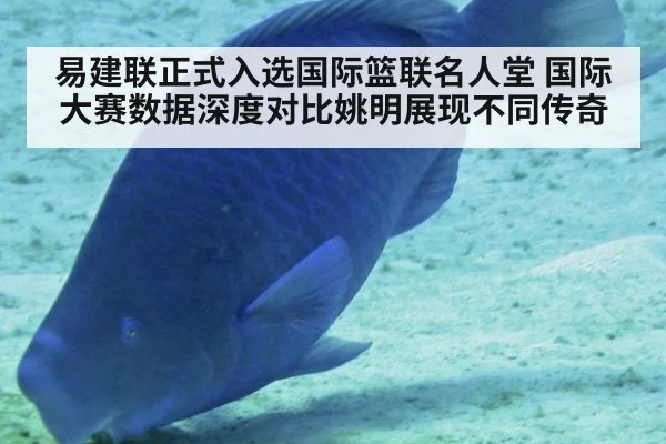 易建联正式入选国际篮联名人堂 国际大赛数据深度对比姚明展现不同传奇